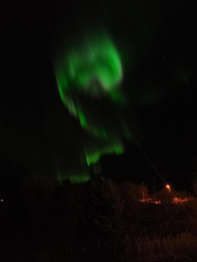 Cozy Home Gravdal  エクステリア 写真