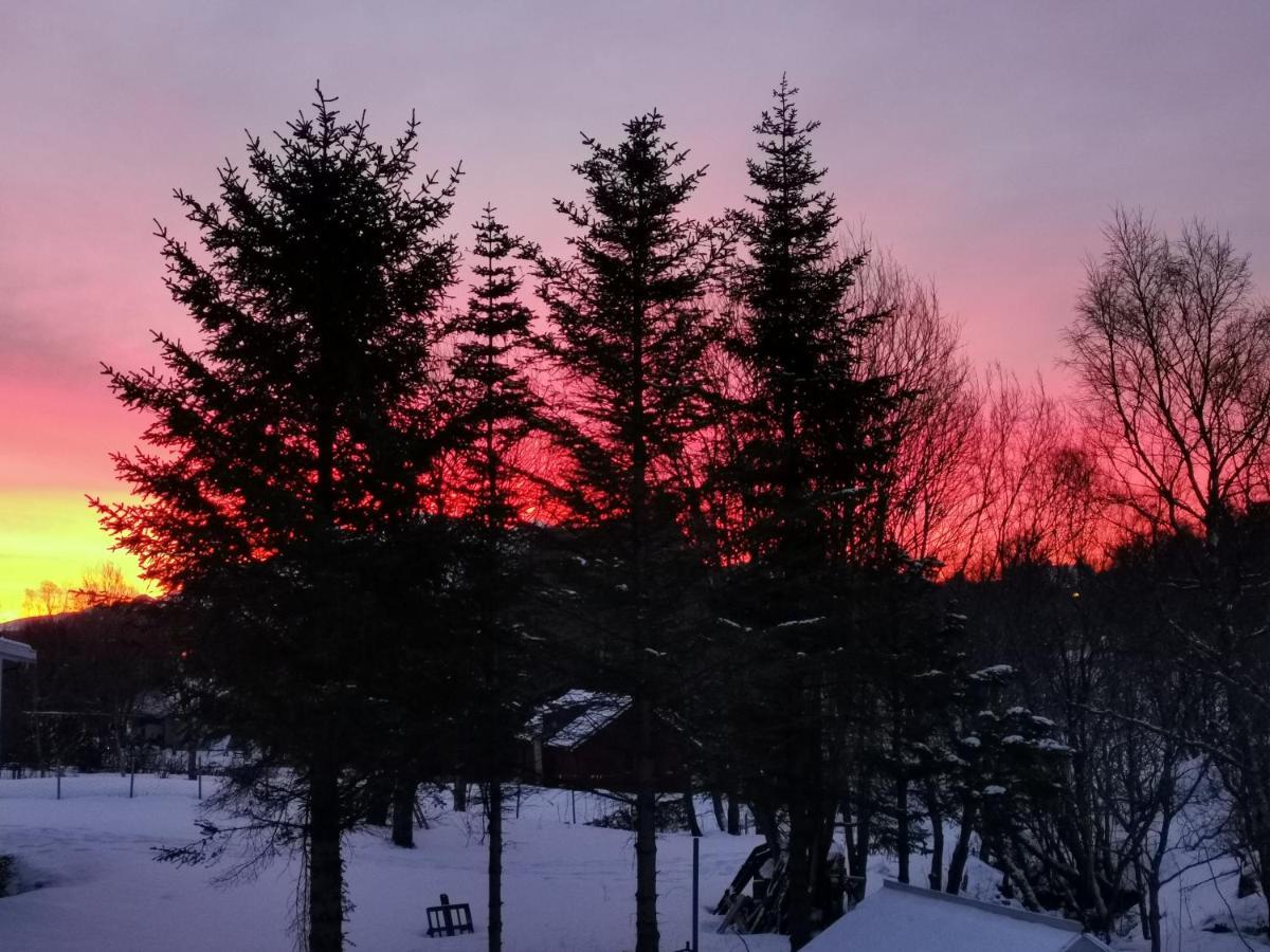 Cozy Home Gravdal  エクステリア 写真
