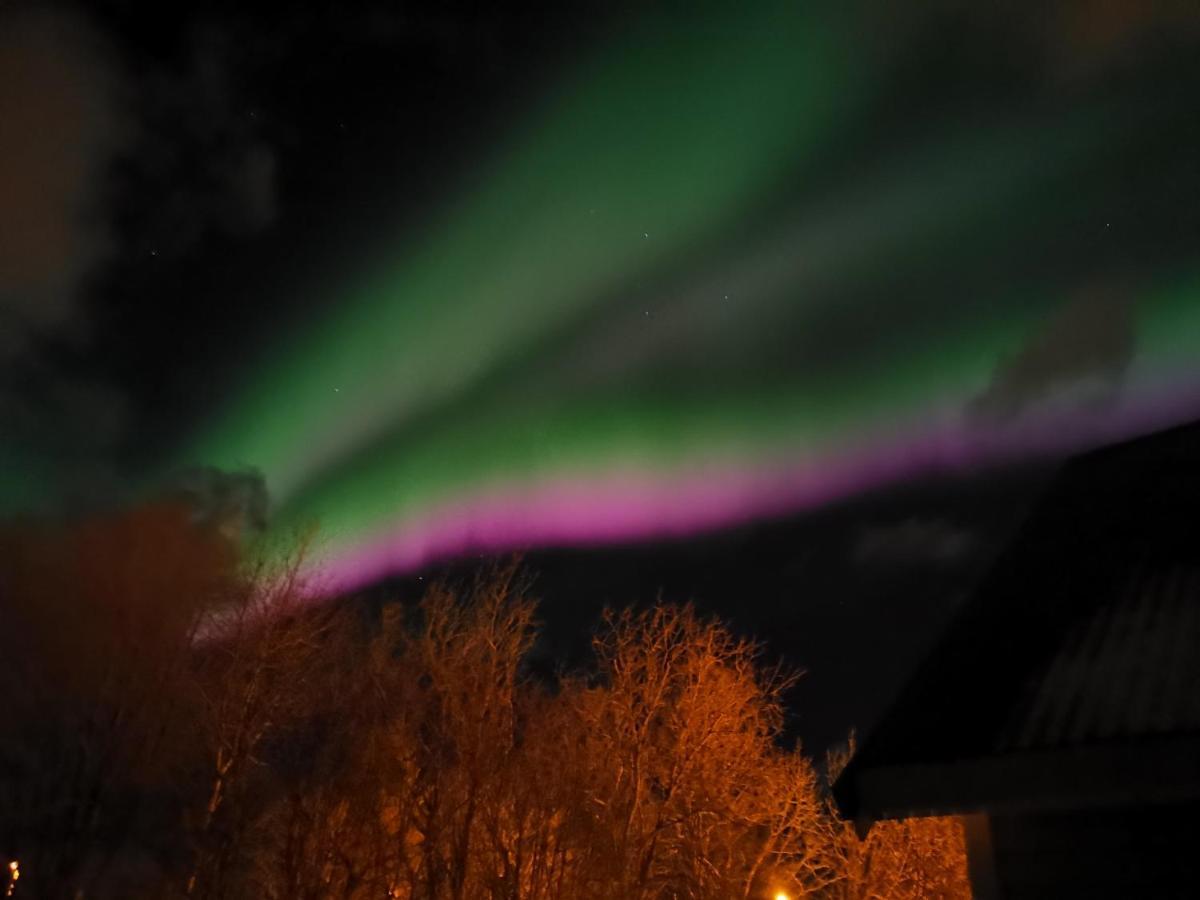 Cozy Home Gravdal  エクステリア 写真