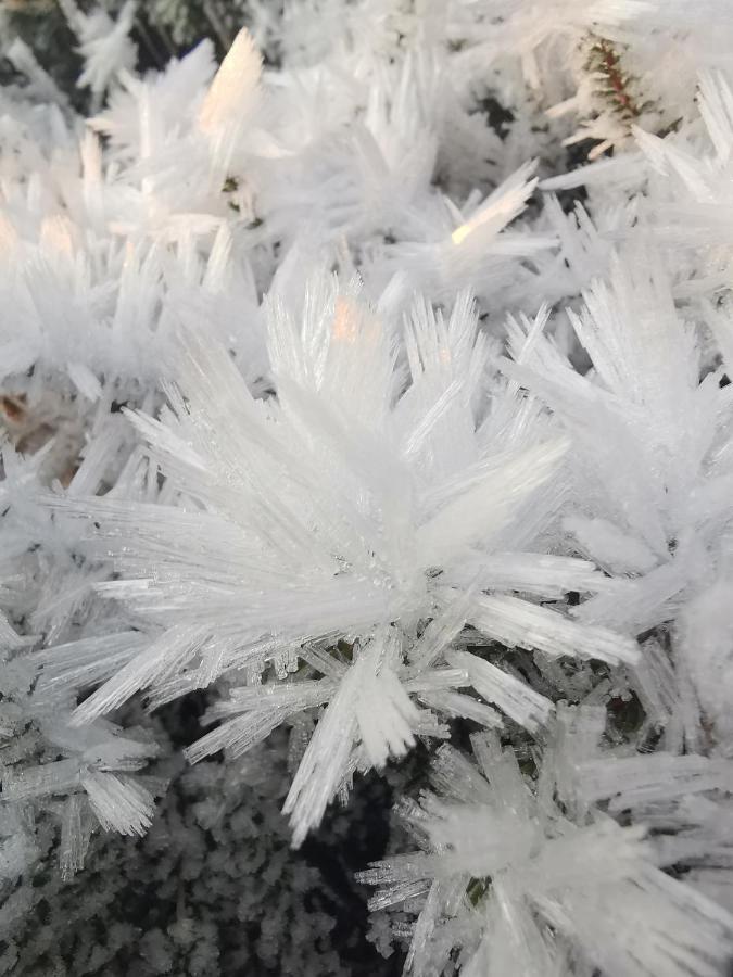 Cozy Home Gravdal  エクステリア 写真